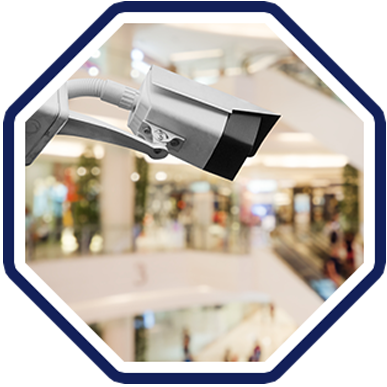  PROTECTO ELITE - ACCESO