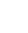 PROTECTO ELITE - IP (INTERNET PROTOCOL)